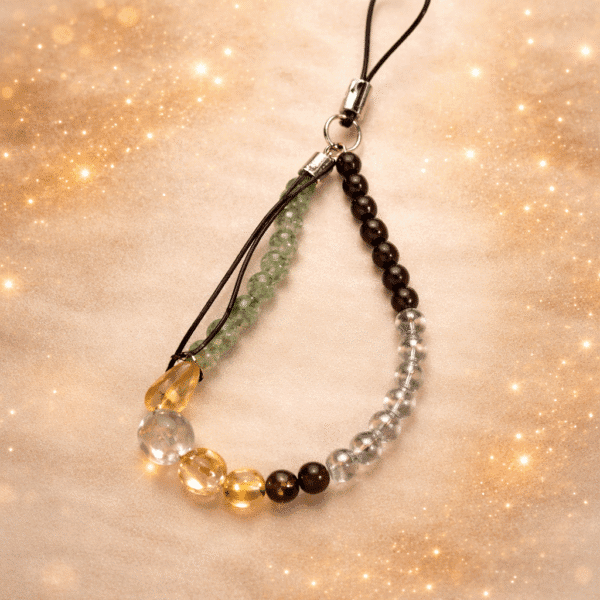 Dhan Yog Mobile Energy Chain